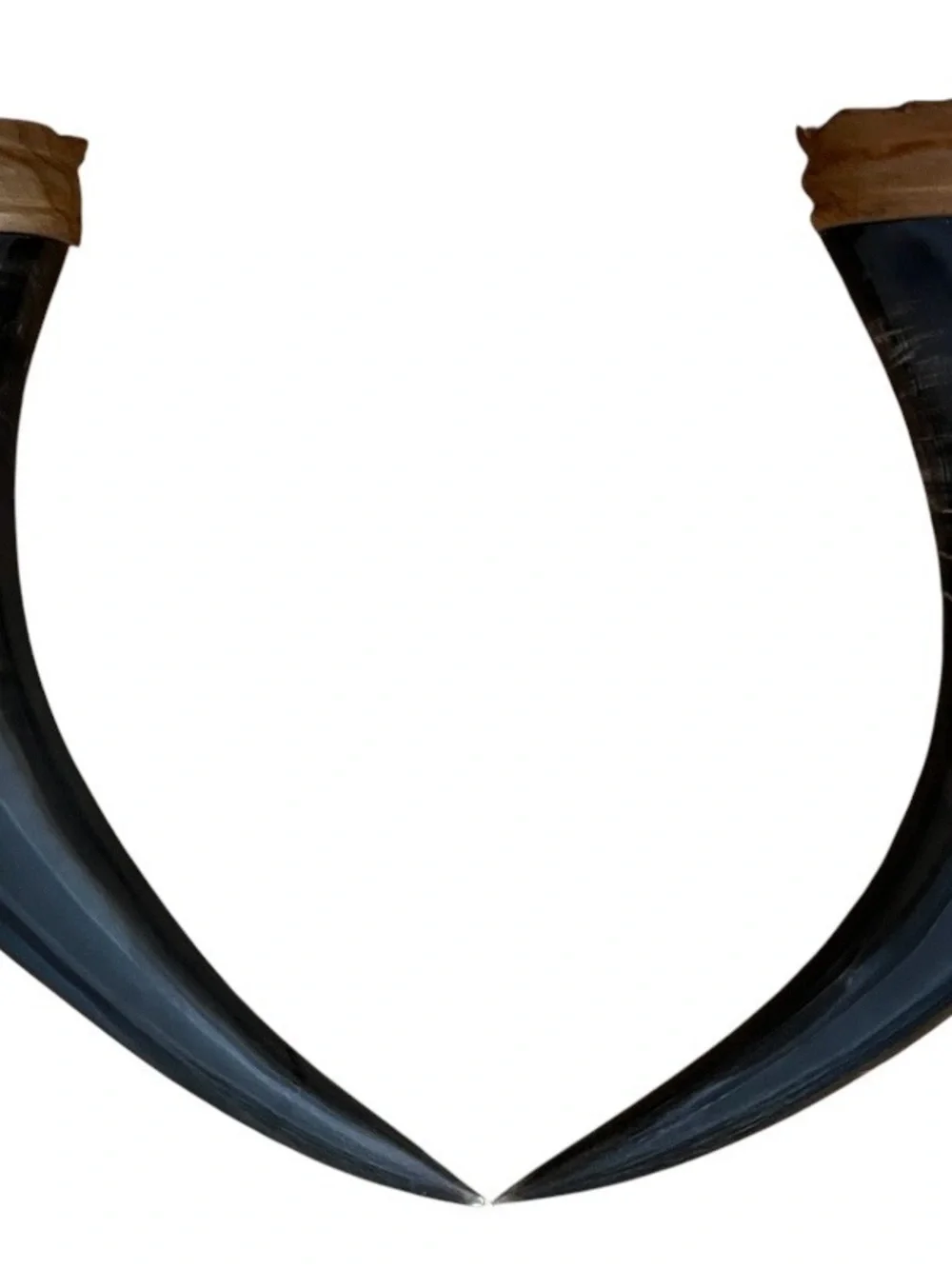 Hand-Painted Black Decorative Horn with White Crane Motif